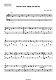 undefined SDP, Adel Tawil - Ich will nur dass du weißt