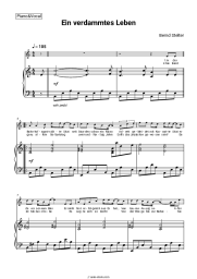 Sheet music, chords Bernd Stelter - Ein verdammtes Leben