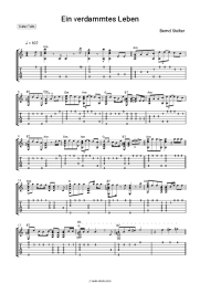 Sheet music, chords Bernd Stelter - Ein verdammtes Leben