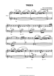 Sheet music, chords Keiko Matsui - Trees