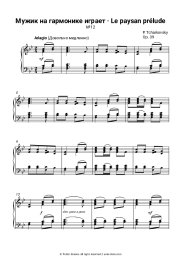 undefined P. Tchaikovsky - The Accordion Player (Children's Album, Op.39)