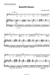 undefined Michael Schulte - Beautiful Reason