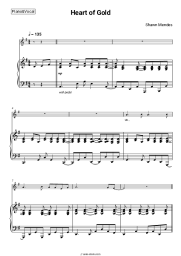 undefined Shawn Mendes - Heart of Gold