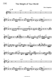 undefined Chris Stapleton - The Weight of Your World