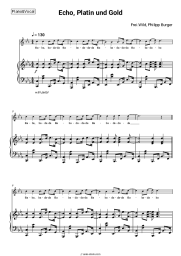 Sheet music, chords Frei.Wild, Philipp Burger - Echo, Platin und Gold