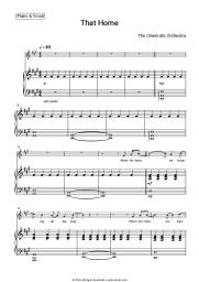 undefined The Cinematic Orchestra - That Home