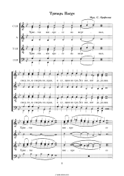 undefined Church music - Тропарь Пасхи С. Орфеева