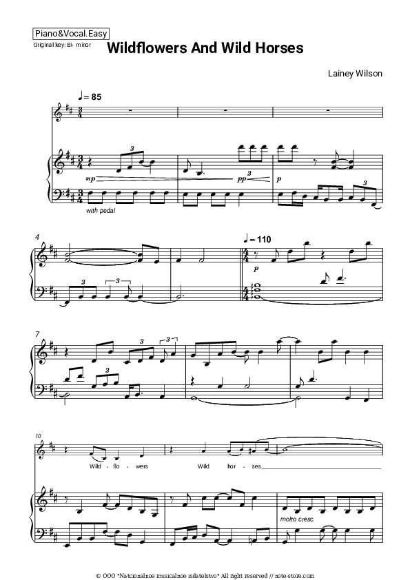 Wildflowers and Wild Horses - Lainey Wilson Piano Sheet Music Easy and Vocal - Piano&Vocal.Easy