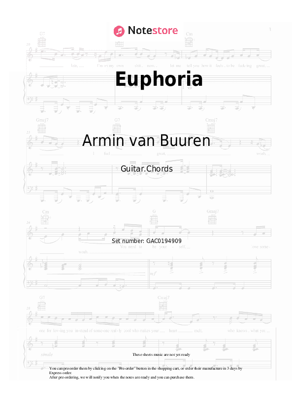 Euphoria - Armin van Buuren, Norma Jean Martine, LAWRENT, Alok Chords - Guitar.Chords