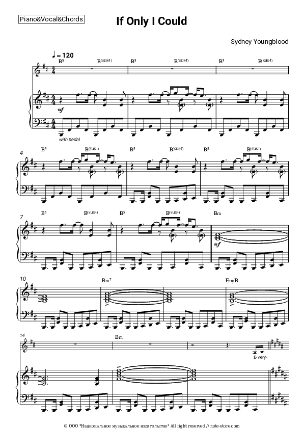 If Only I Could - Sydney Youngblood Piano Sheet Music with the Vocal and Chords - Piano&Vocal&Chords