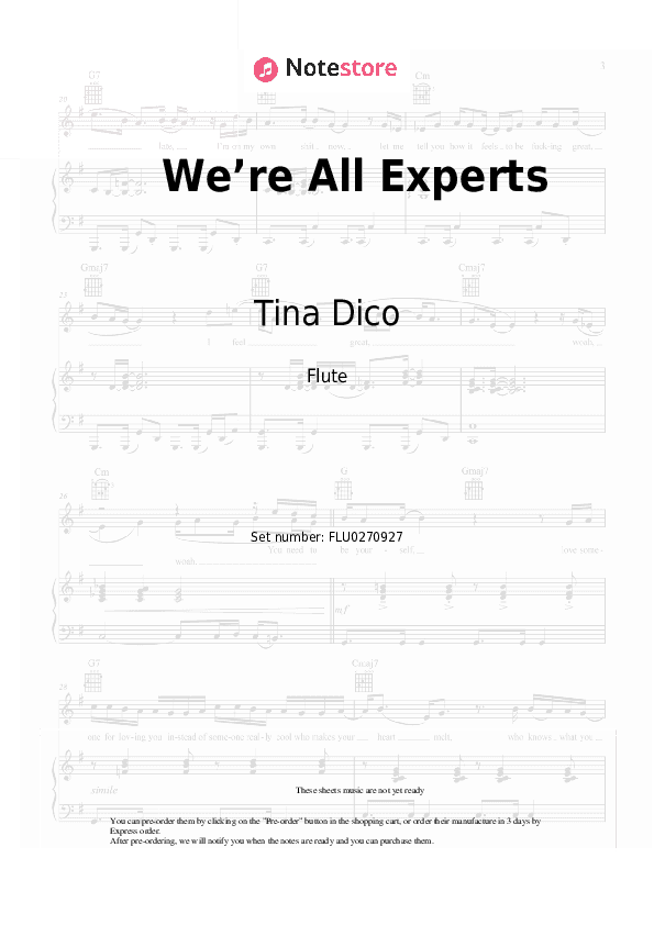 We’re All Experts - Tina Dico Flute Sheet Music - Flute