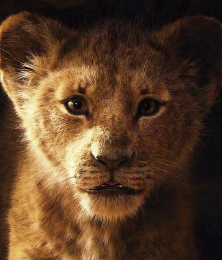 'The Lion King' piano sheet music 2019