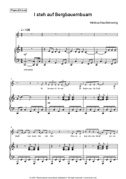 Sheet music, chords Melissa Naschenweng - I steh auf Bergbauernbuam