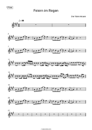 undefined Die Toten Hosen - Feiern im Regen